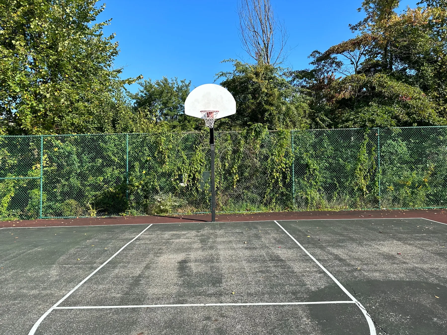 Sunrise Cove basketball court